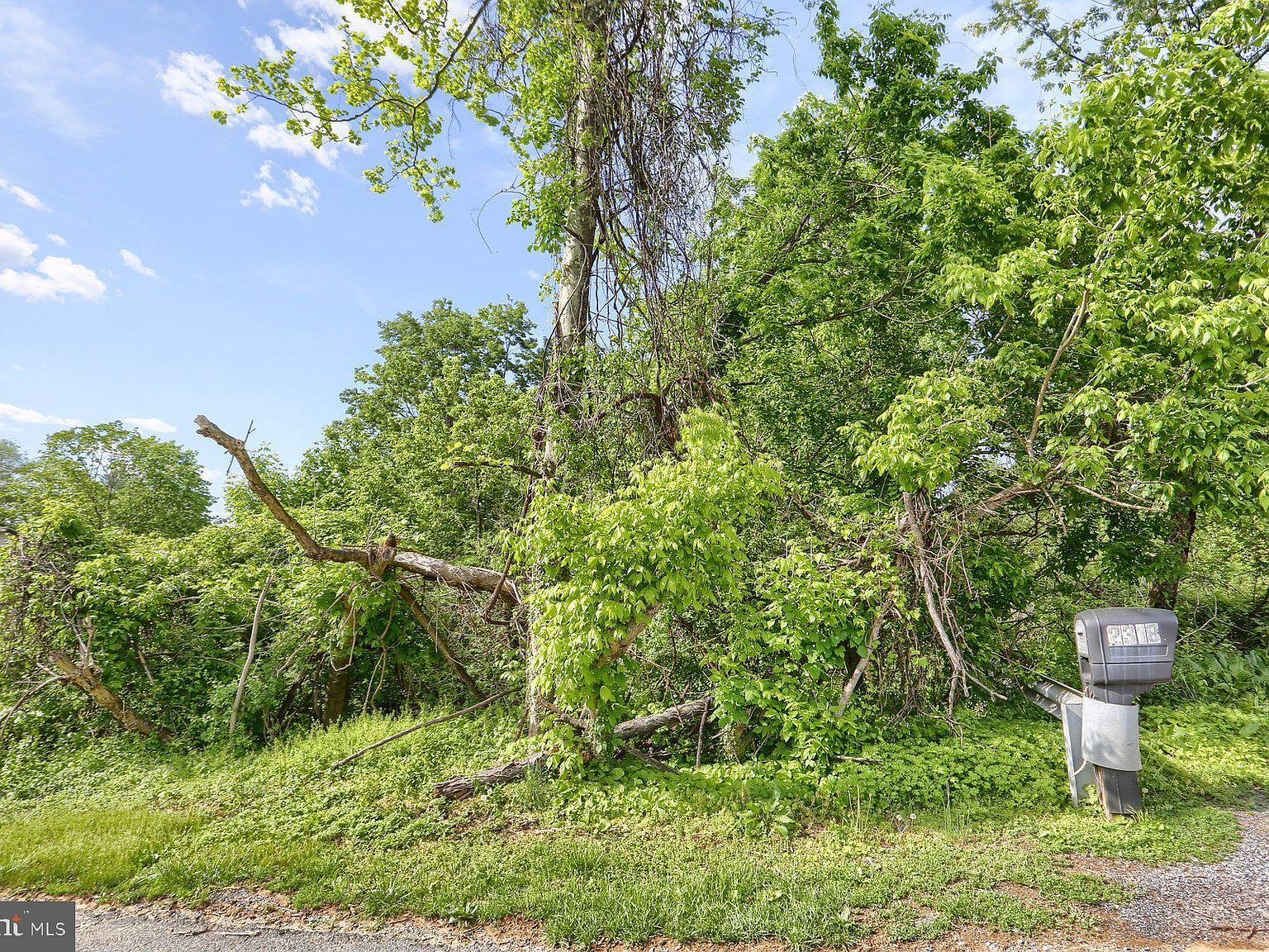 2324 Highland Ave Harrisburg, PA 17109 - Thumbnail 4