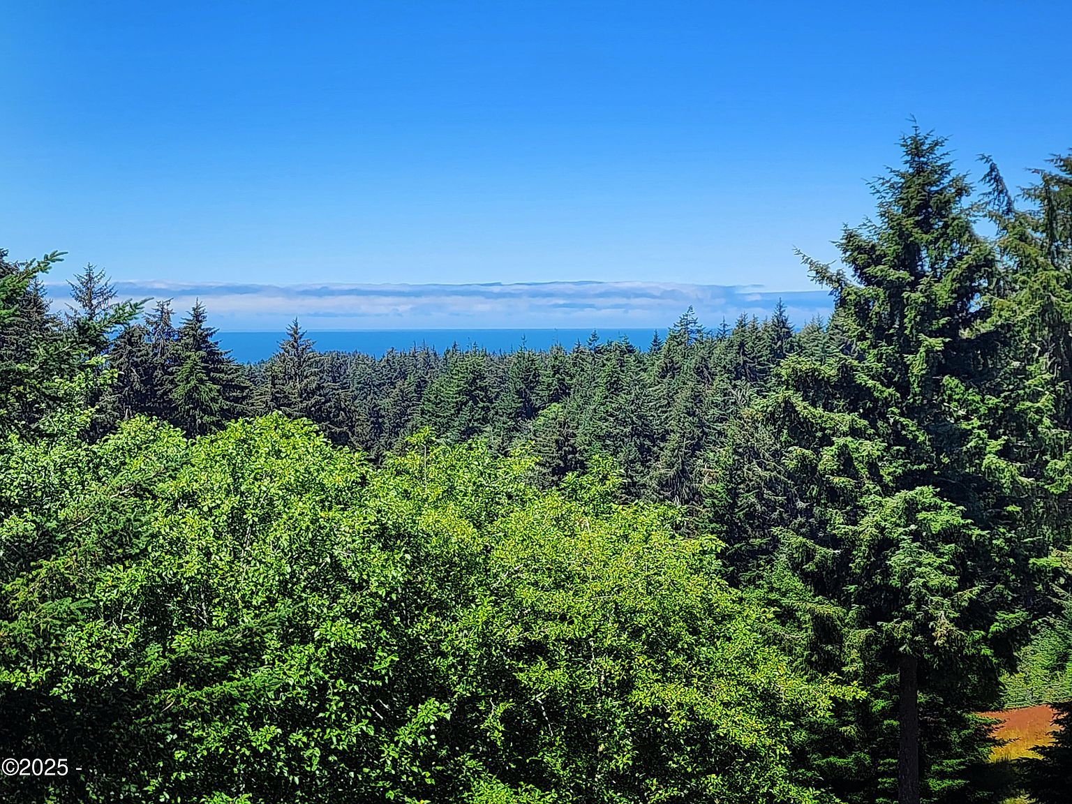 671 NE Newport Heights Dr Newport, OR 97365 - Thumbnail 4