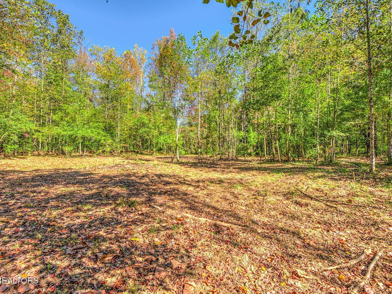 1446 Cove Ln Oliver Springs, TN 37840 - Thumbnail 4