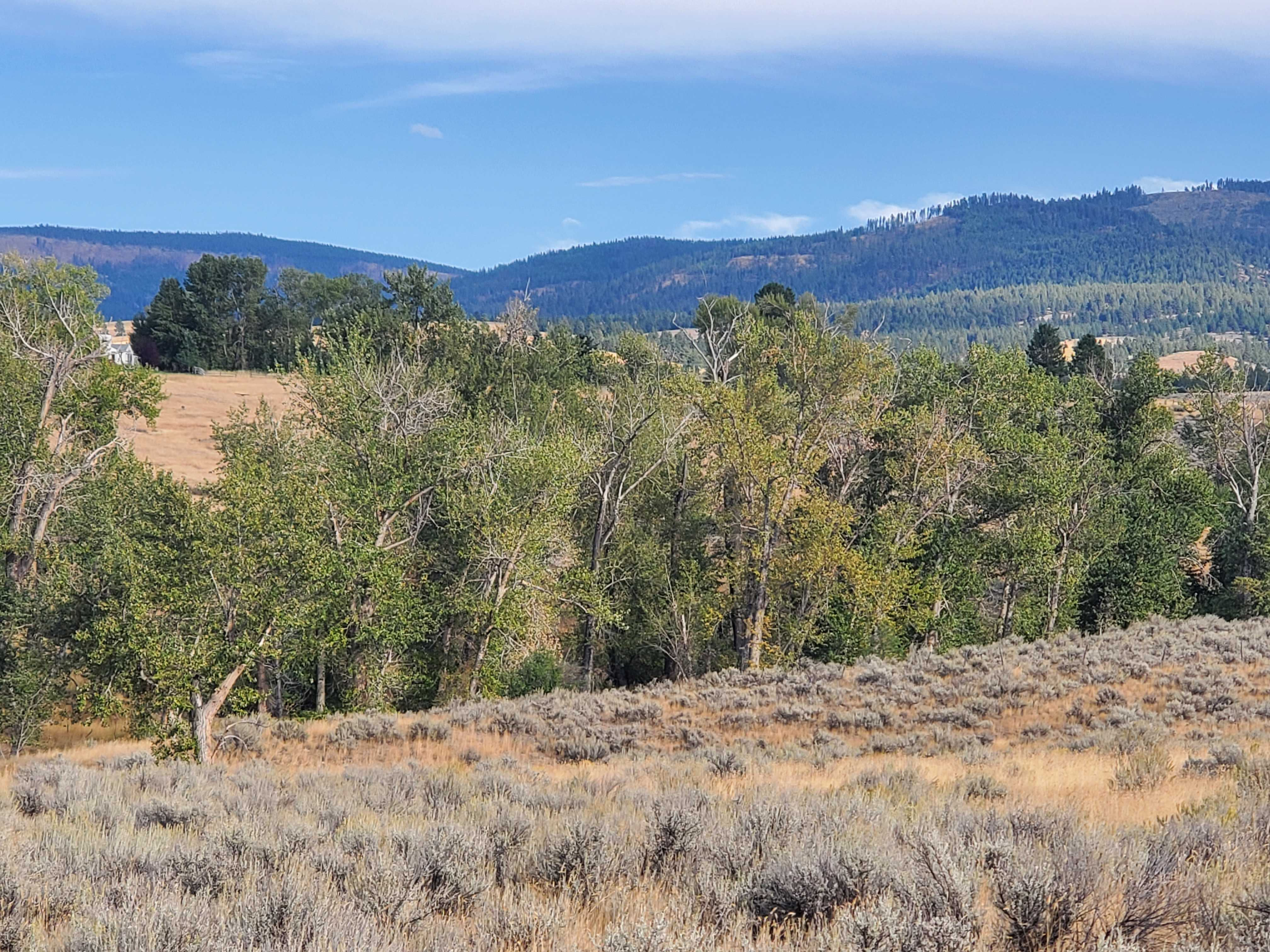 Bessie Lane, Stevensville, MT, 59870 - Thumbnail 4