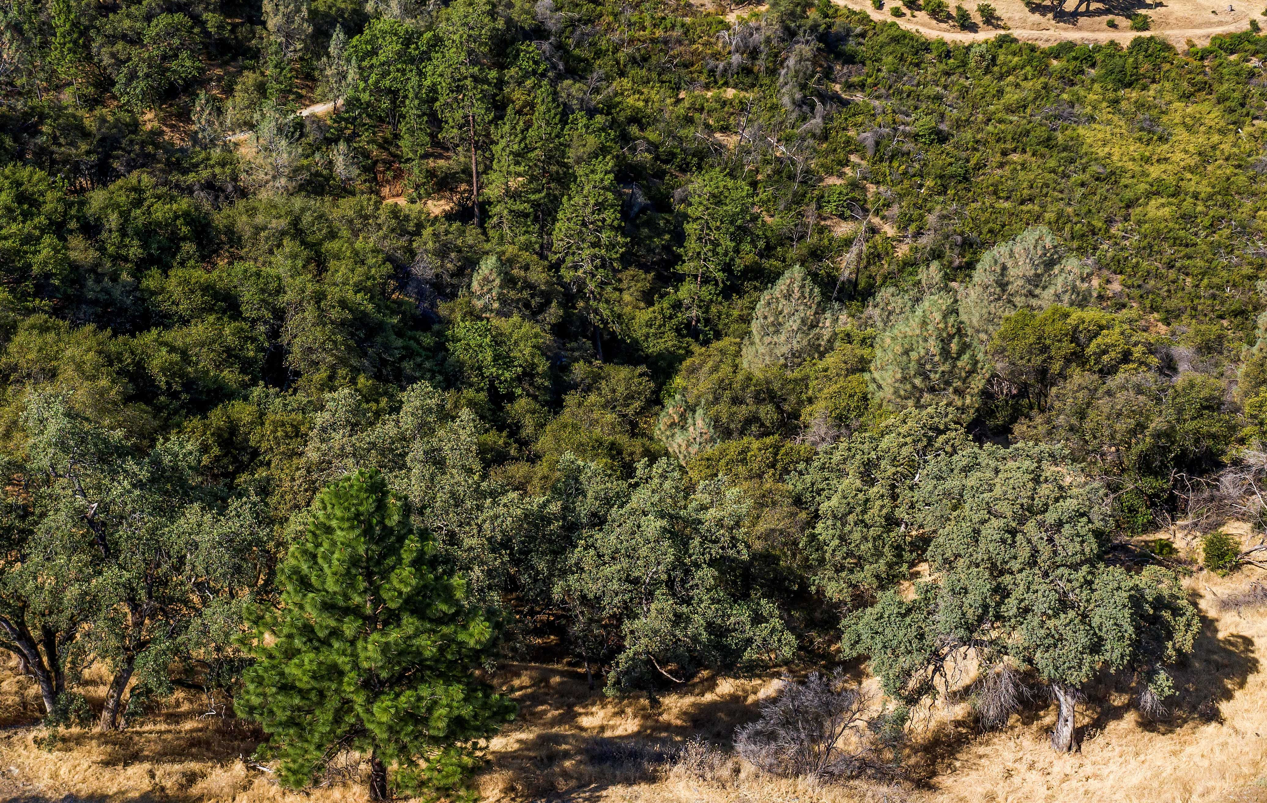 765 Montgomery Dr, Mokelumne Hill, CA, USA, 95245 - Thumbnail 4