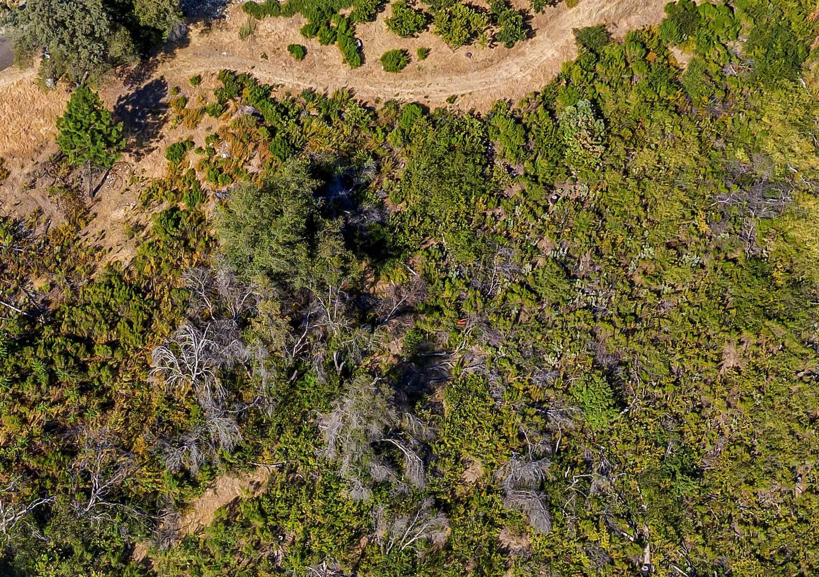 690 Ian Ct, Mokelumne Hill, CA, USA, 95245 - Thumbnail 4