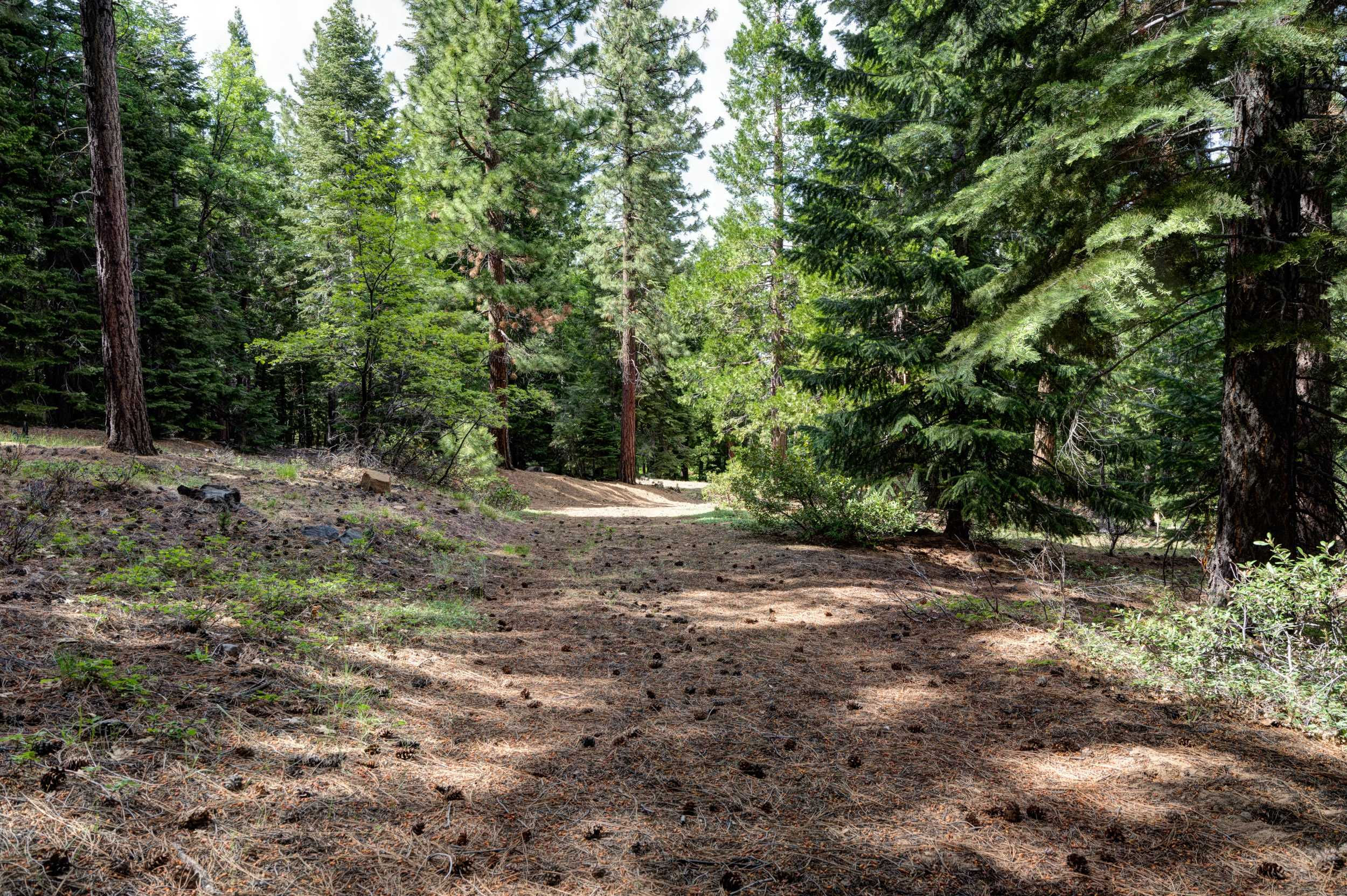 Janesville Grade, Janesville, CA, USA, 96114 - Thumbnail 4