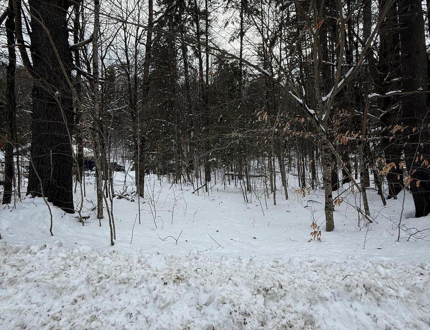 L19 River Rd Warrensburg, NY 12885 - Thumbnail 4