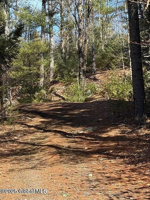 61 Snowshoe Rdg Chestertown, NY 12817 - Thumbnail 4