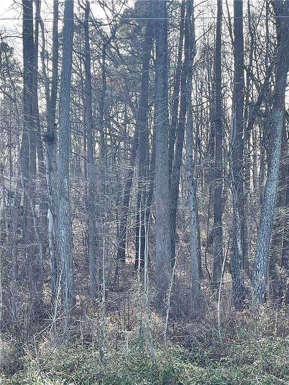 LOT 1 Travellers Rd Shacklefords, VA 23156 - Thumbnail 4