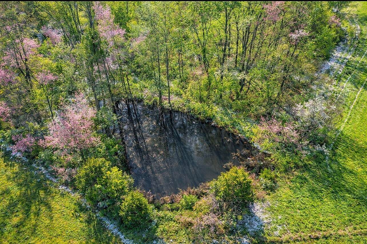 455 Davis Ln Winchester, KY 40391 - Thumbnail 4