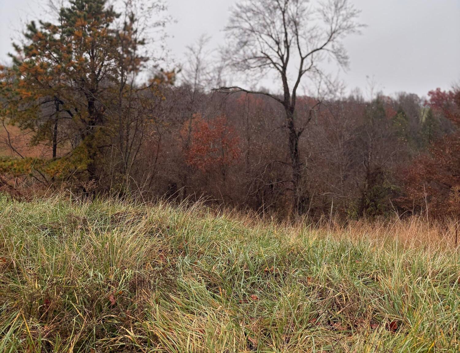 64 Becky Jane Rd Frenchburg, KY 40322 - Thumbnail 4