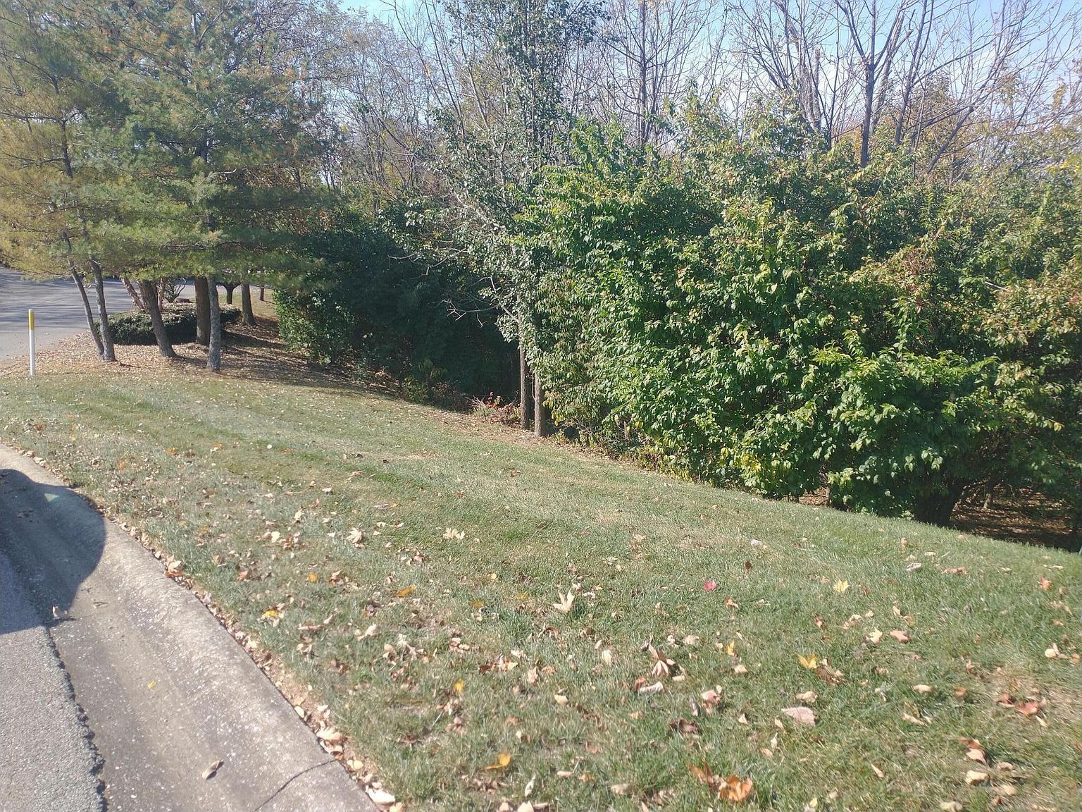 102 Augusta Dr Winchester, KY 40391 - Thumbnail 4