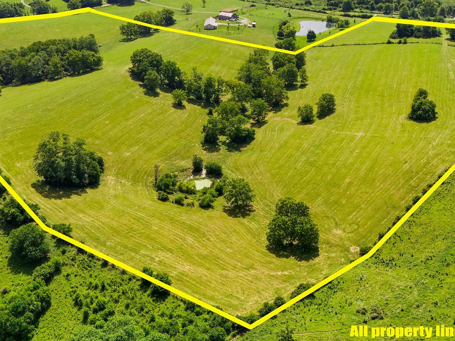 250 Rockridge Rd Paris, KY 40361 - Thumbnail 4