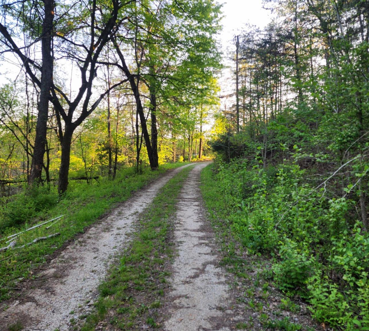 228 Lofty Heights Rd Clay City, KY 40312 - Thumbnail 4