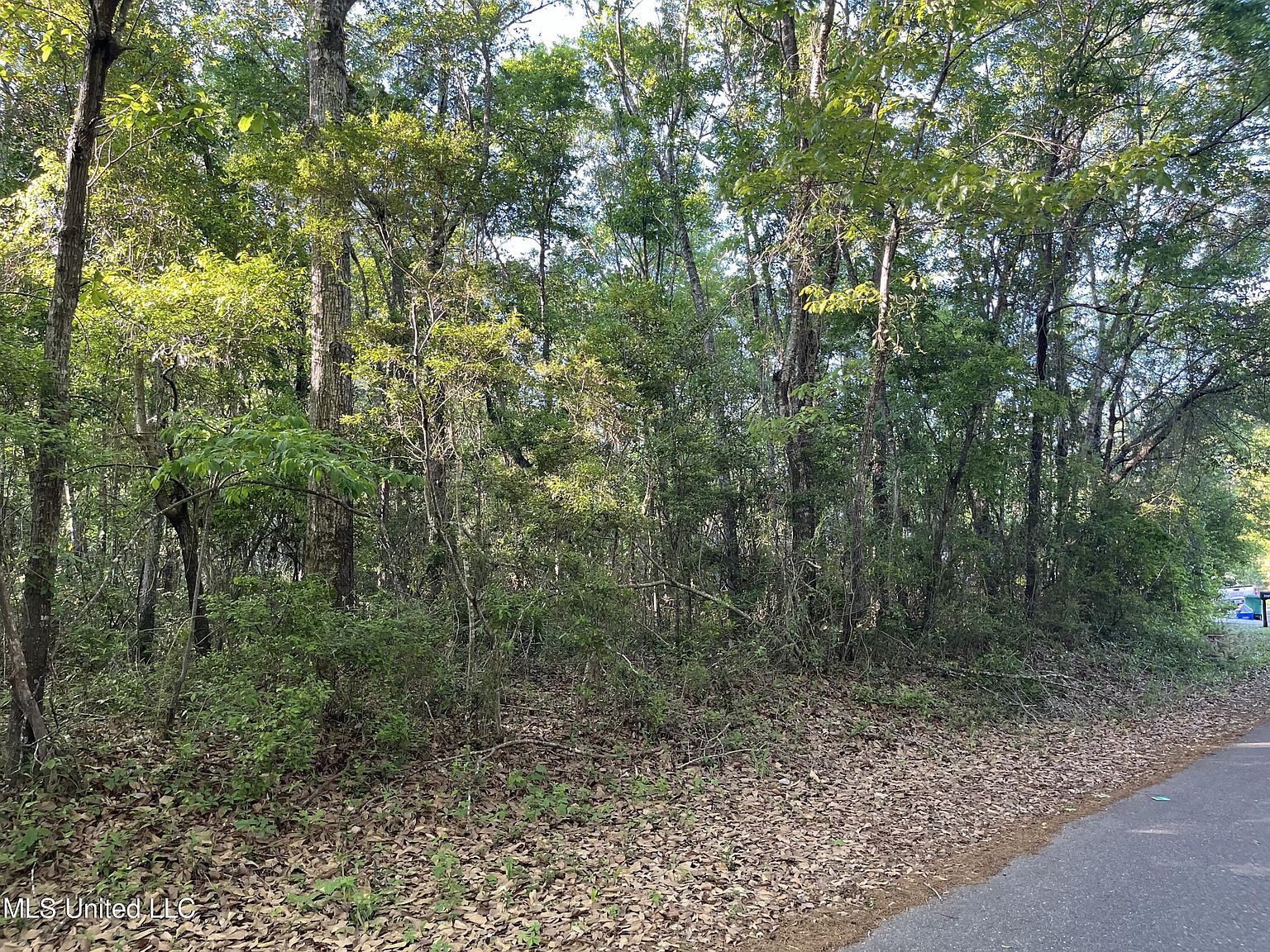 Lots 36 37 Honduras Dr Gautier, MS 39553 - Thumbnail 4