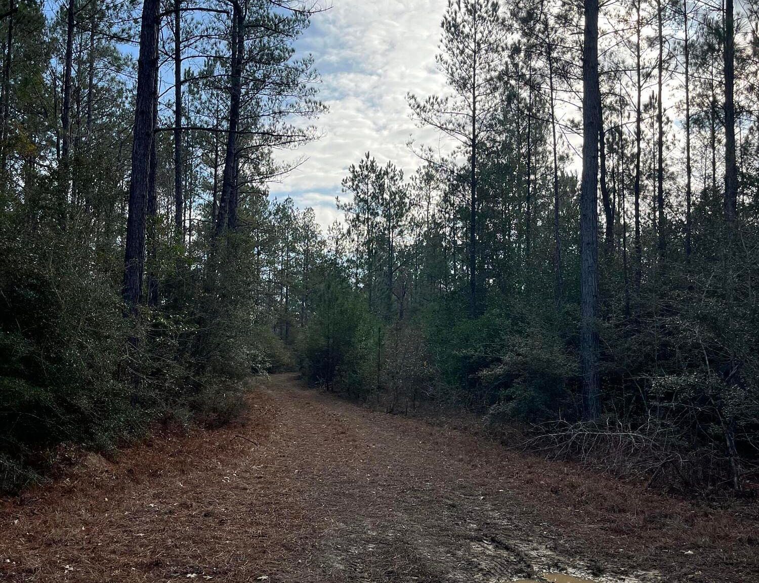 40 Acres Dr Perkinston, MS 39573 - Thumbnail 4