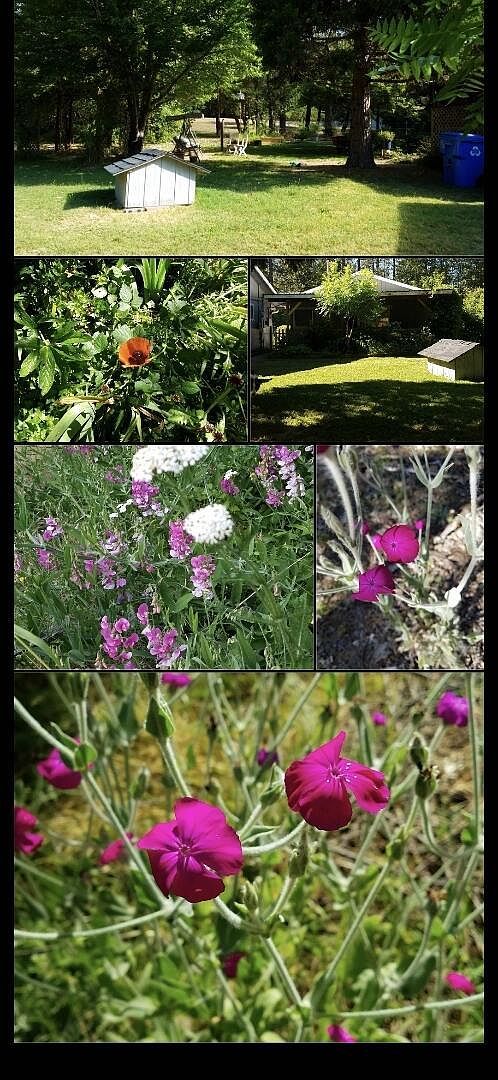 234 Penny Ln Grants Pass, OR 97527 - Thumbnail 4