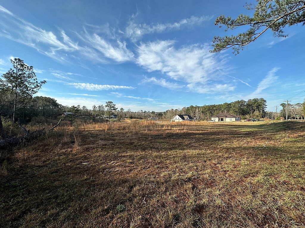 0 Pendragon Pl Dothan, AL 36305 - Thumbnail 4