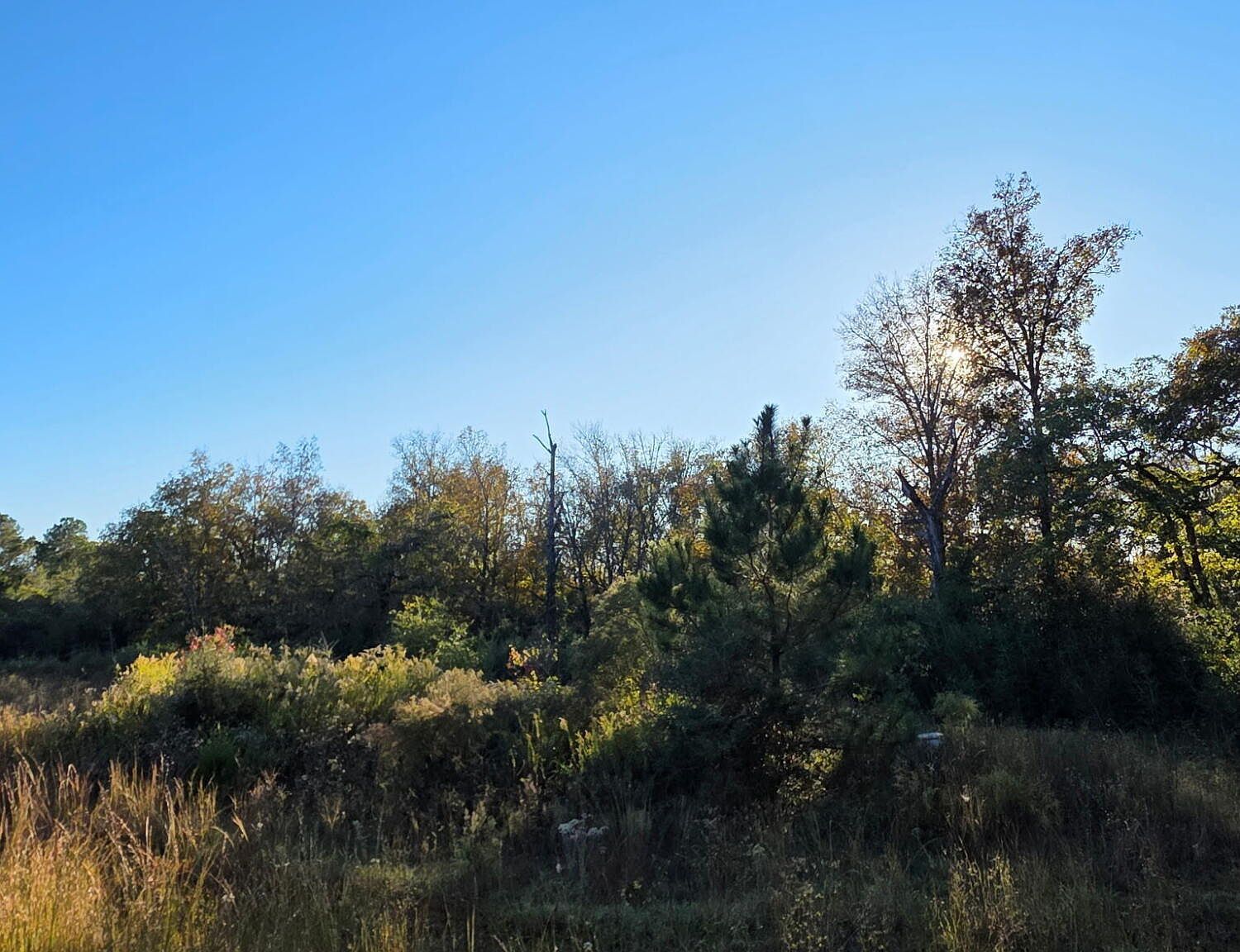 2785 Otter Pond Rd Westville, FL 32464 - Thumbnail 4