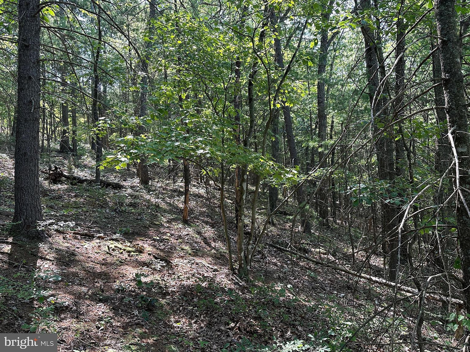 314 Knight Dr Basye, VA 22810 - Thumbnail 4