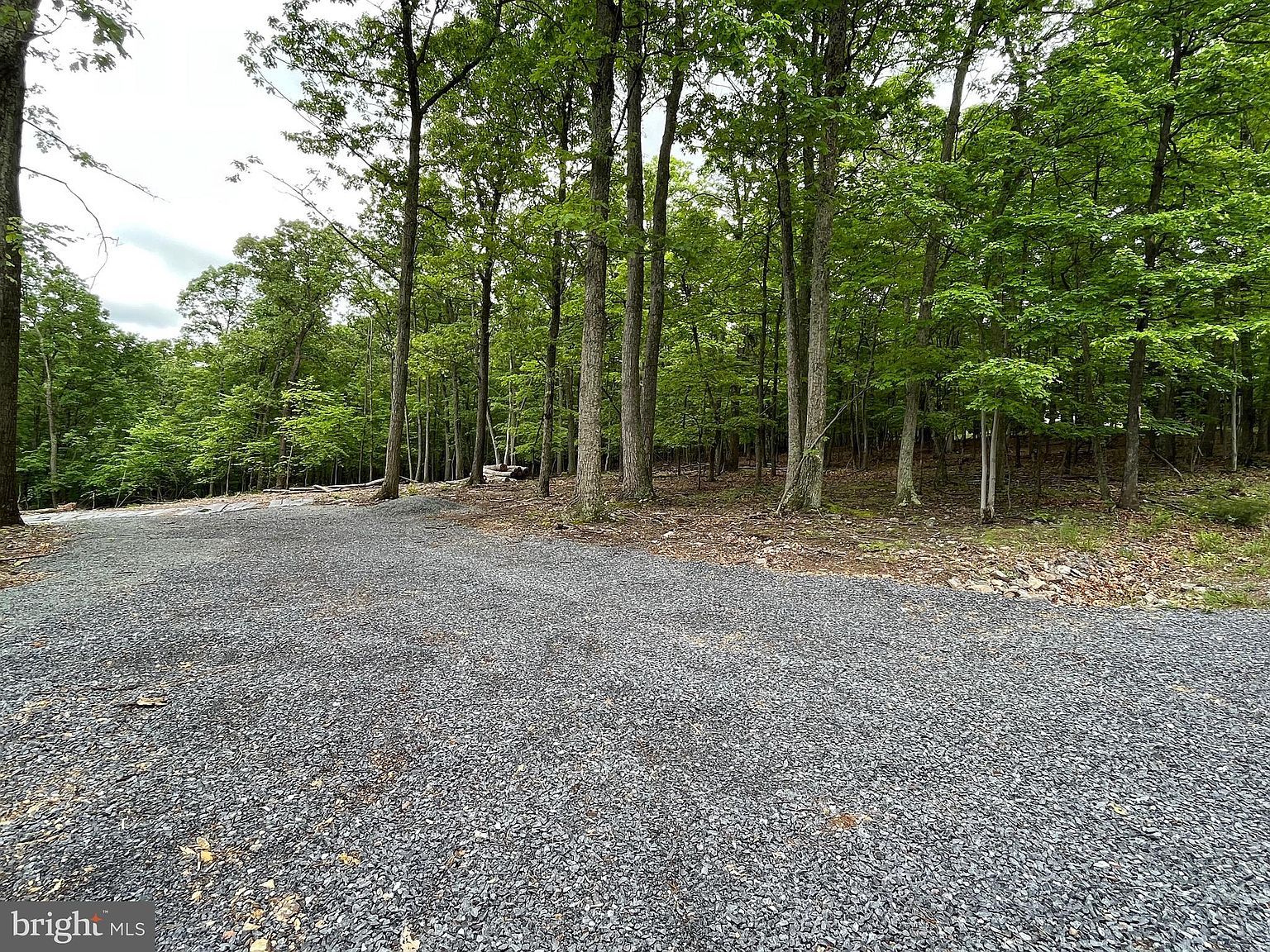 307 Grimaldi Way Hedgesville, WV 25427 - Thumbnail 4