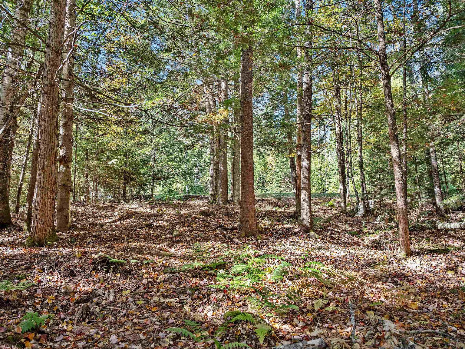 442 State Route 12 #2 Montpelier, VT 05602 - Thumbnail 4