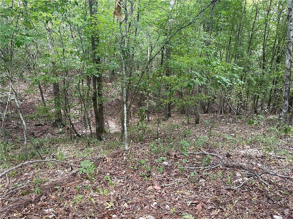 686 Woodland Hills Trl LOT 25 Broken Bow, OK 74728 - Thumbnail 4