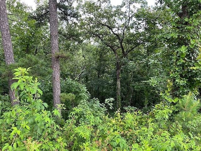 204 Vista Del Lago Trl LOT 39 Broken Bow, OK 74728 - Thumbnail 4