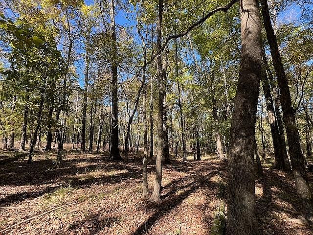 196 Deer Valley Cir LOT 6 Broken Bow, OK 74728 - Thumbnail 4