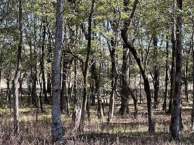 176 Deer Valley Cir #5 Broken Bow, OK 74728 - Thumbnail 4