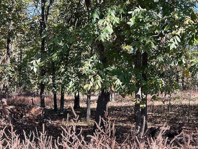 136 Deer Valley Cir LOT 4 Broken Bow, OK 74728 - Thumbnail 4