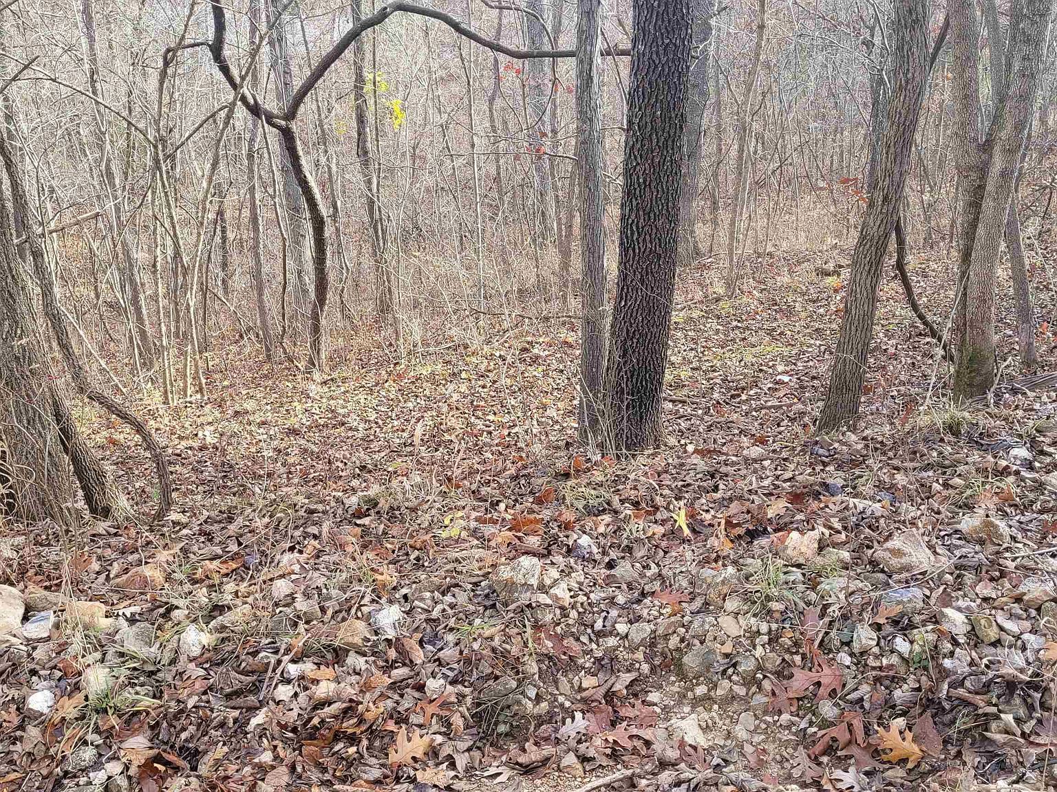 L-45 Stag Dr Edwards, MO 65326 - Thumbnail 4