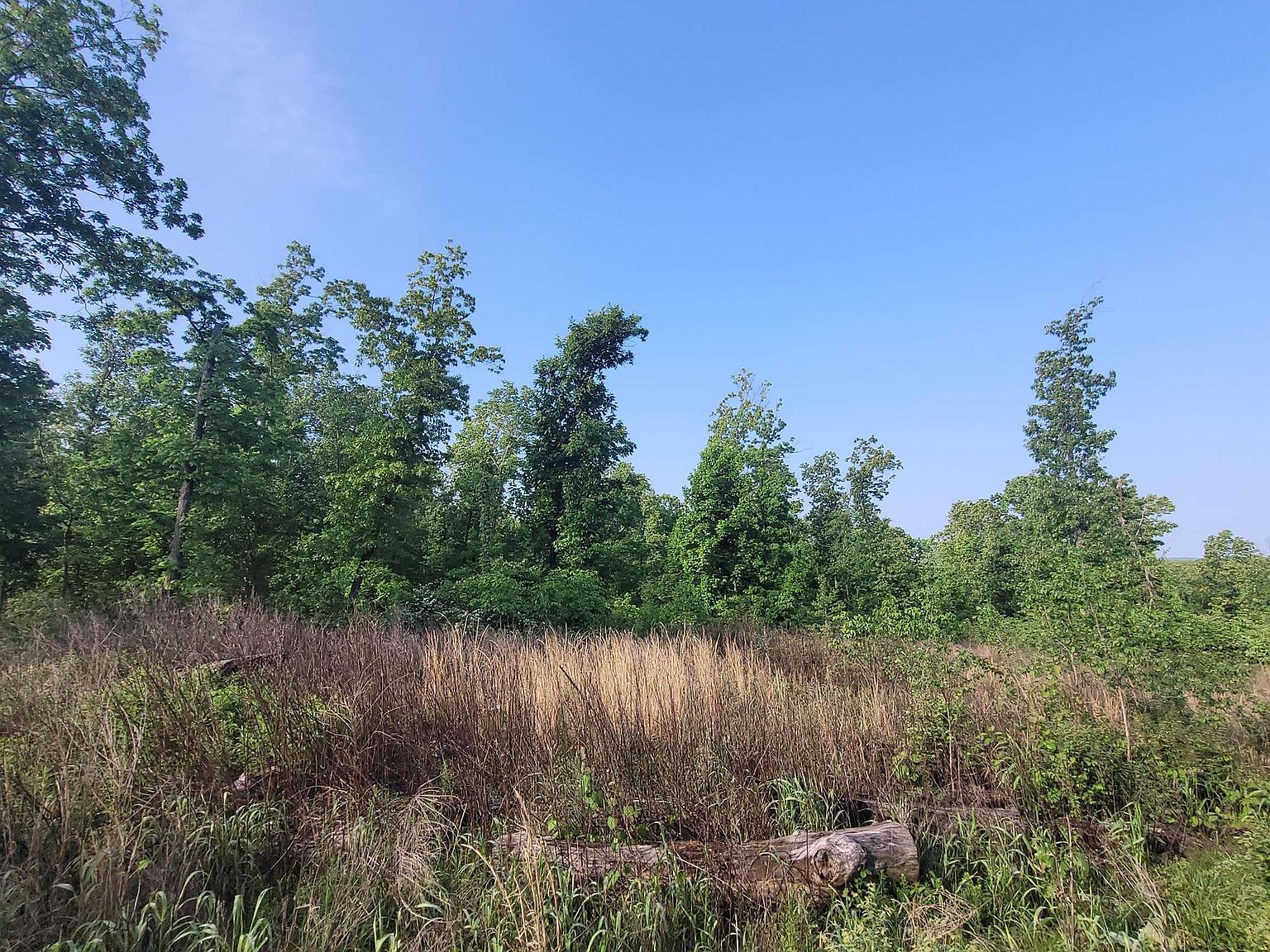 LOT 4 Wendys Ln Lincoln, MO 65338 - Thumbnail 4