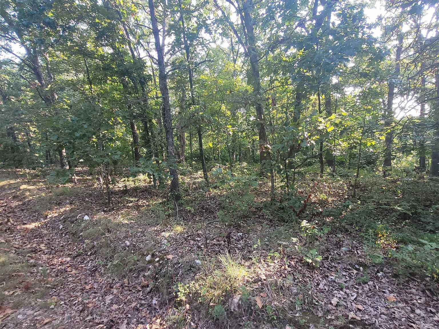 LOT 2186 Schwab Pl Edwards, MO 65326 - Thumbnail 4