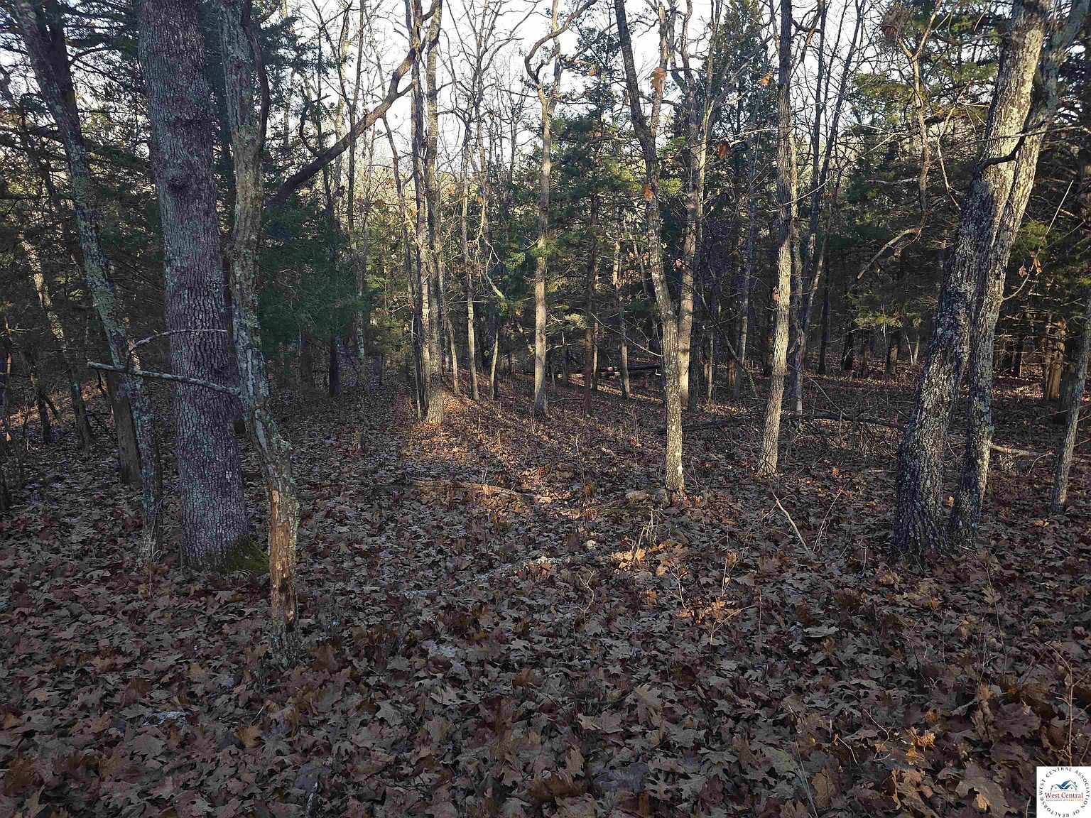 3964 & 3965 Gardiner Rd Edwards, MO 65326 - Thumbnail 4