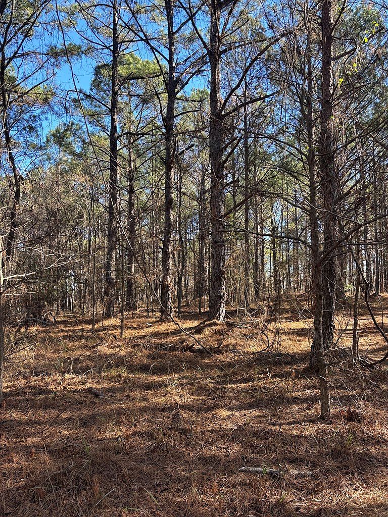 0 Geneva Hwy Talbotton, GA 31827 - Thumbnail 4