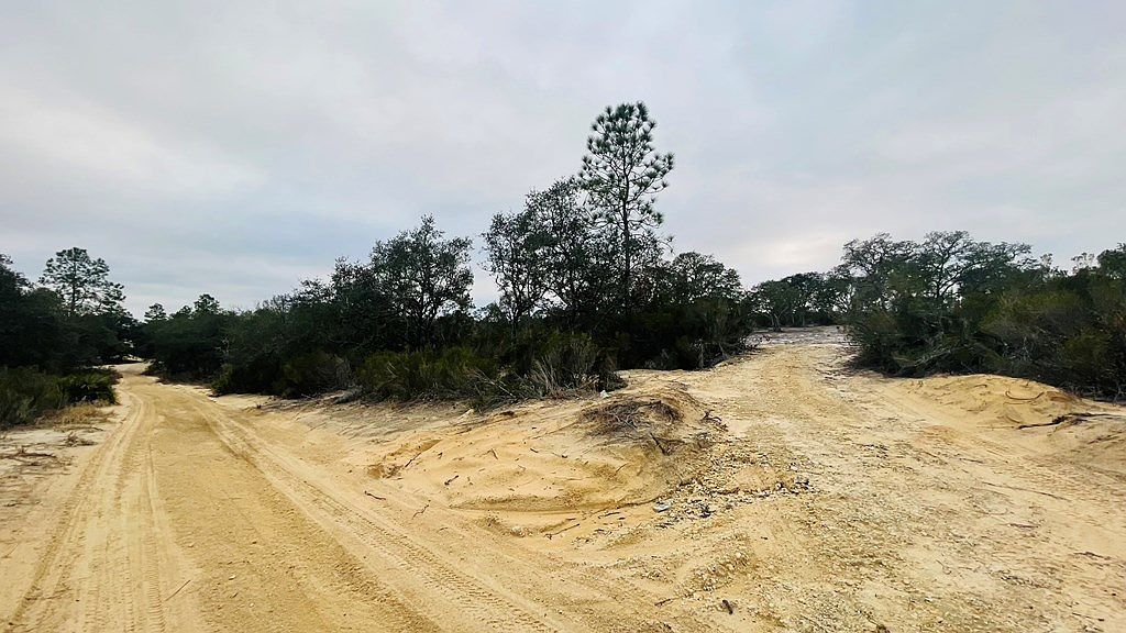 LOT 32 NE 100th Ave Bronson, FL 32621 - Thumbnail 4