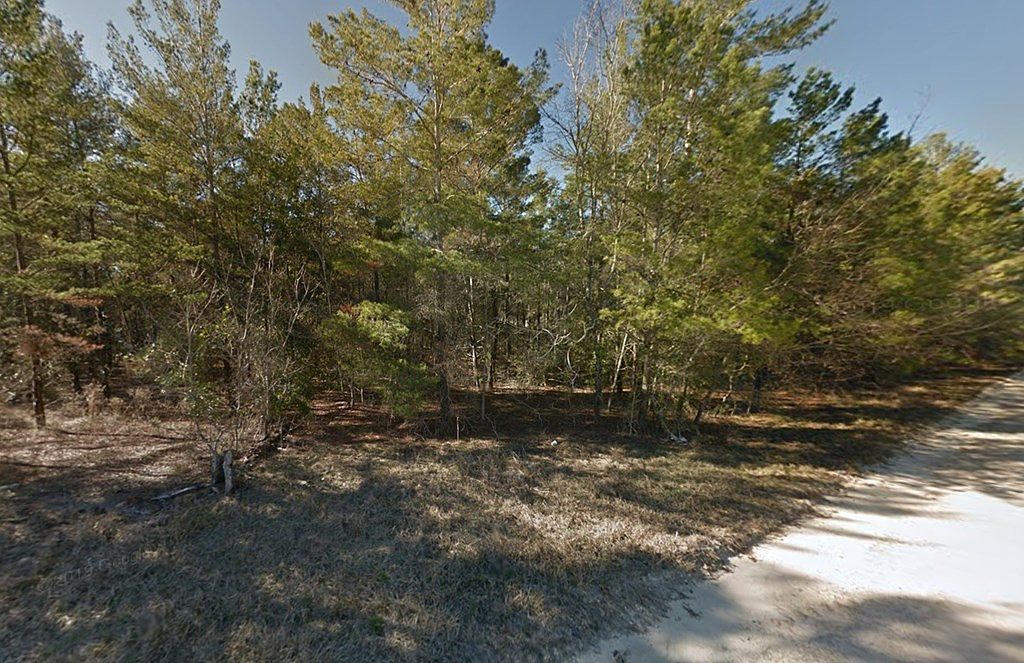 3 NE 130th Ave Williston, FL 32696 | Land/Lot