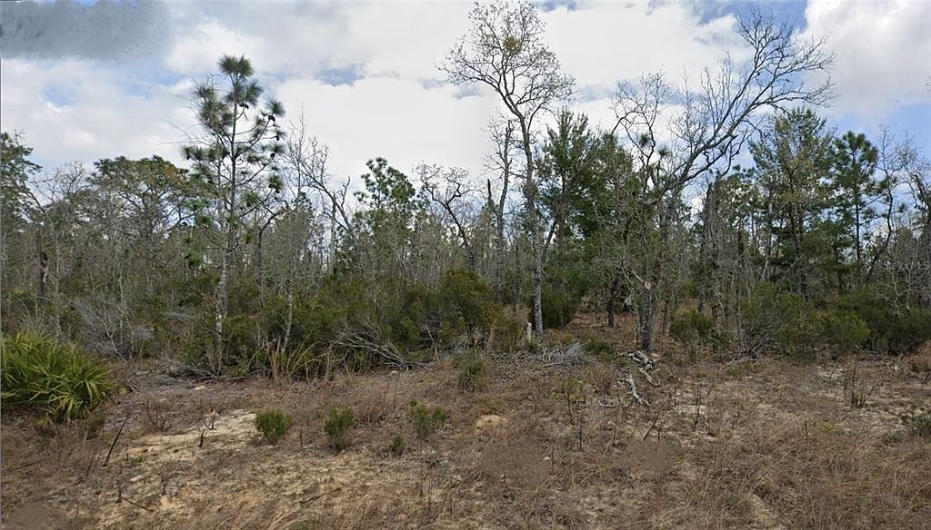 LOT 33 Twin Lakes Blvd LOT 33 Interlachen, FL 32148  | Land/Lot
