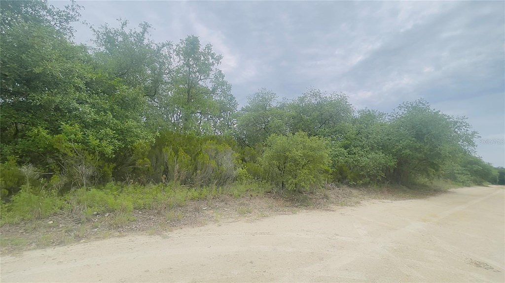 LOT 115 NE 87th Pl LOT 115 Bronson, FL 32621 - Thumbnail 4