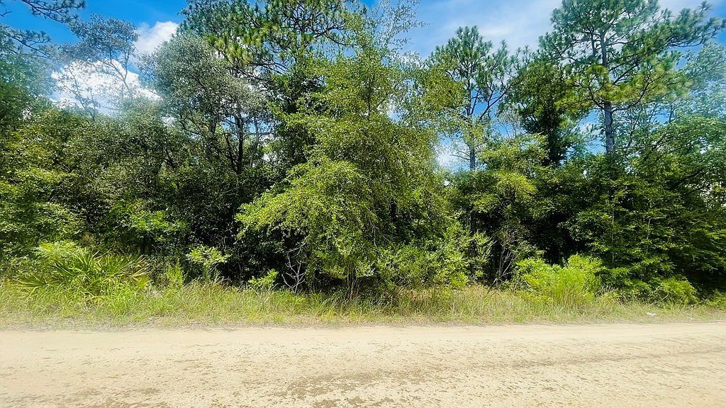 LOT 487 NE 102nd Ct LOT 487, Bronson, FL, 32621  | Land/Lot