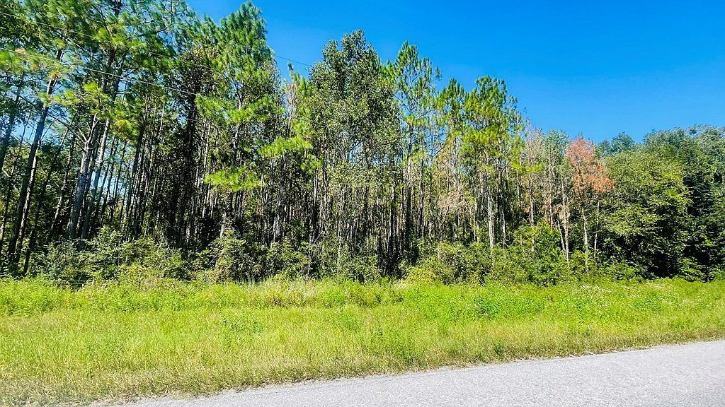 T/b/d Northwest Ave #50 Trenton, FL 32693 - Thumbnail 4