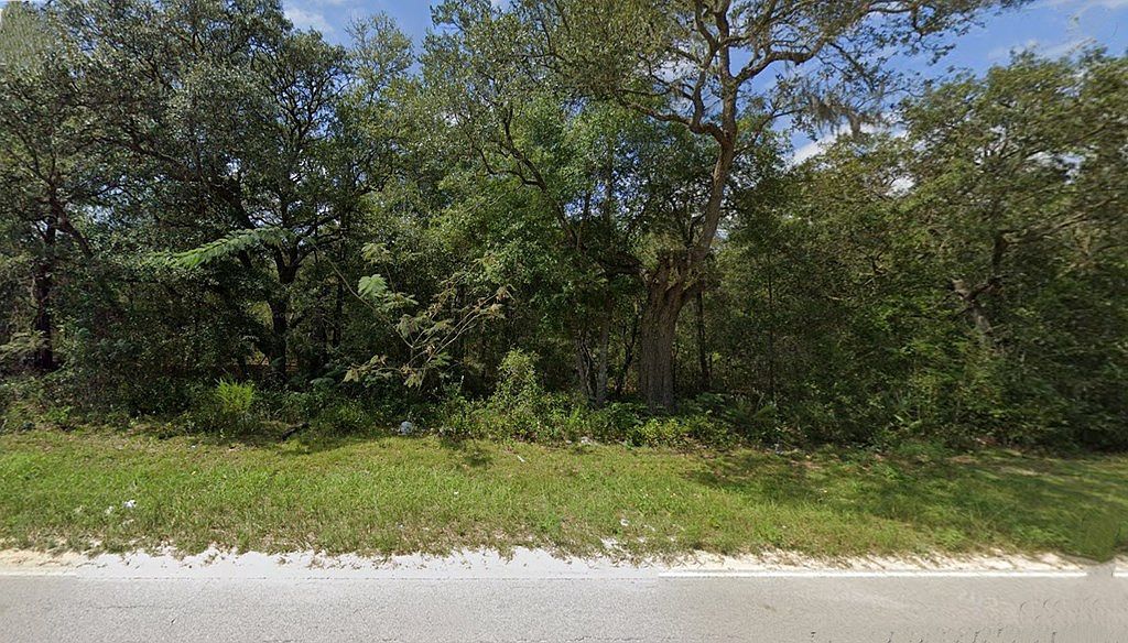 LOT 102 NE 118th Ter Bronson, FL 32621 - Thumbnail 4