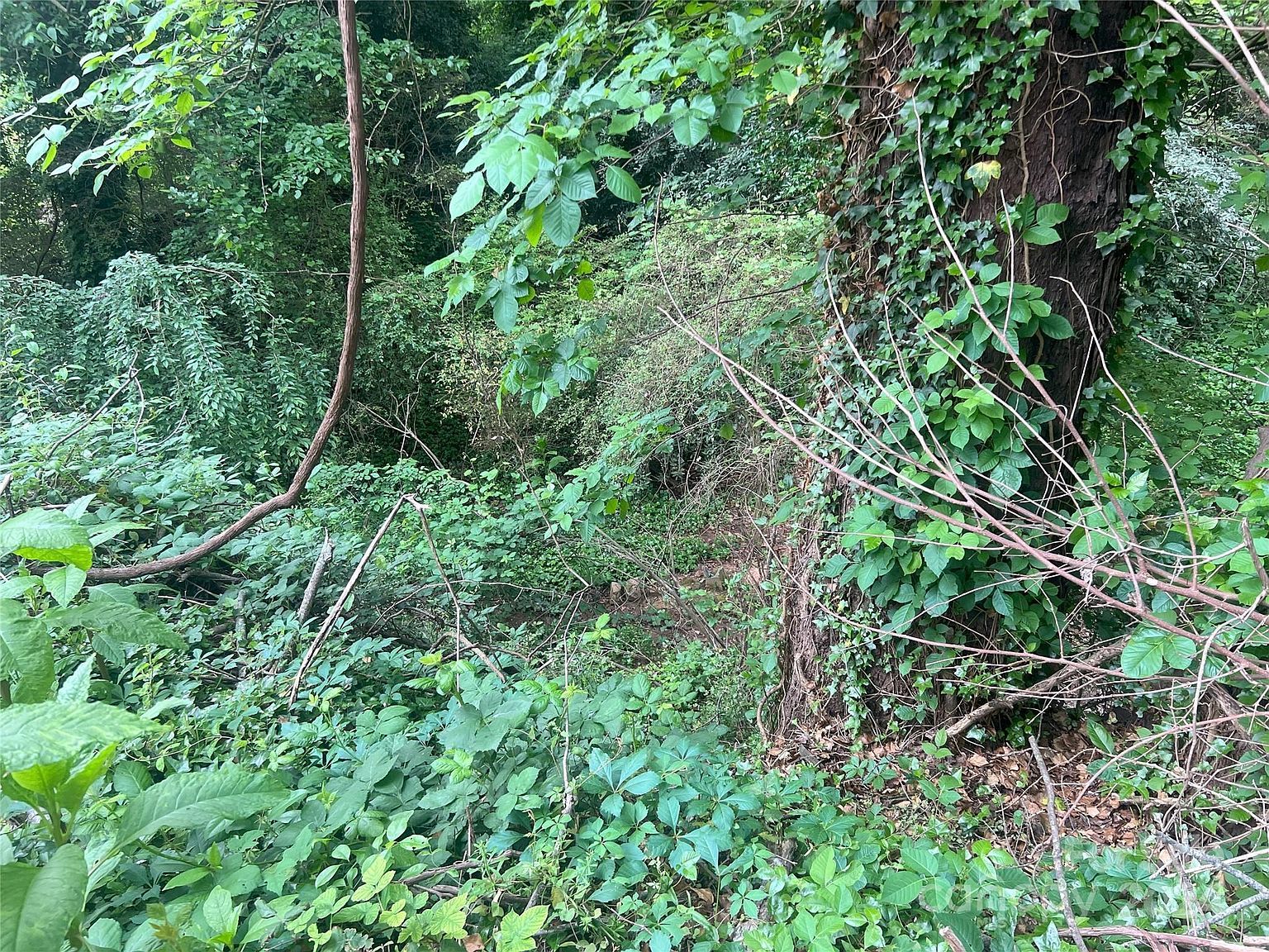 166 Elm St Mooresville, NC 28115 - Thumbnail 4