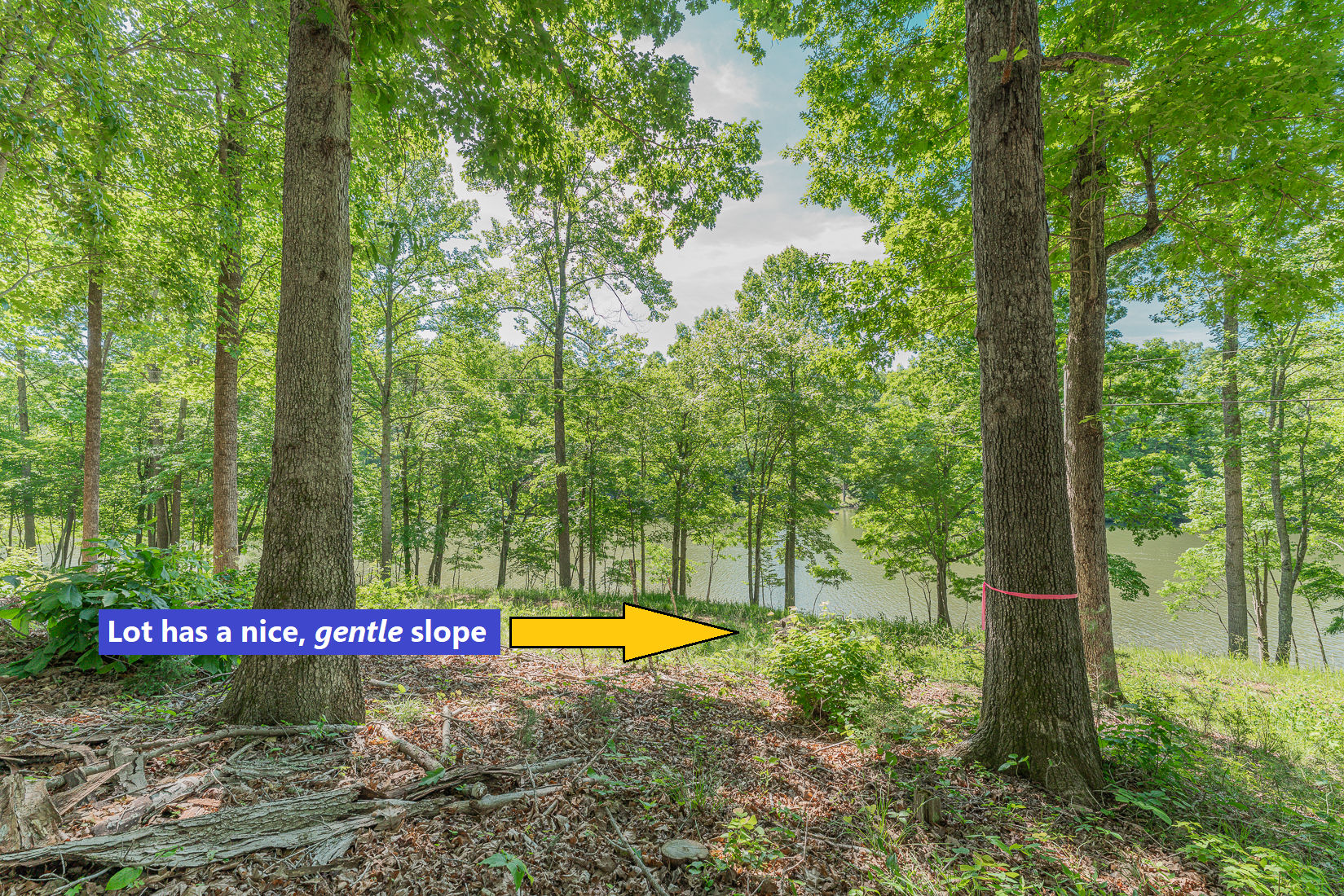 Lot 92 Lakeside Farms - Thumbnail 4