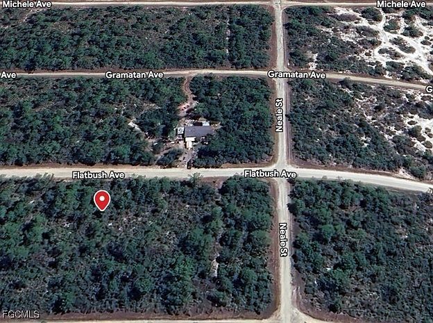 3234 Flatbush Ave Lake Placid, FL 33852 | Land/Lot
