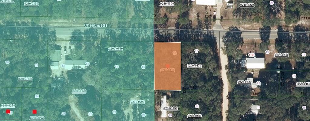 113 Chestnut St Interlachen, FL 32148 - Thumbnail 4