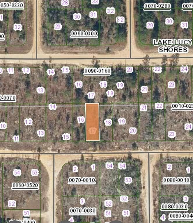 154 1st Ave Interlachen, FL 32148 - Thumbnail 4