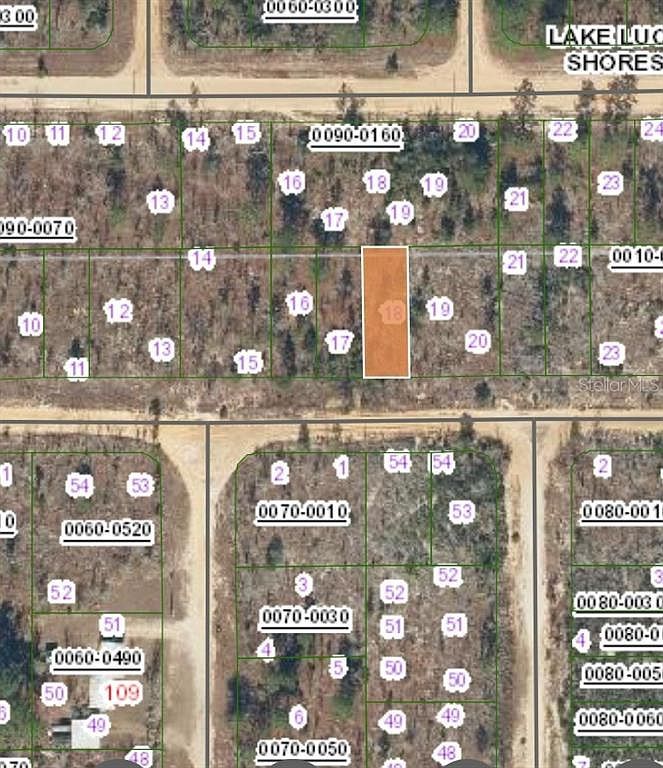 152 1st Ave Interlachen, FL 32148 - Thumbnail 4