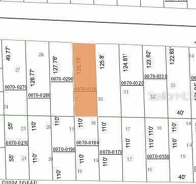 129 W Virginia St Hawthorne, FL 32640 - Thumbnail 4