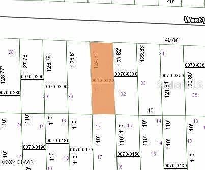 125 W Virginia St Hawthorne, FL 32640 - Thumbnail 4