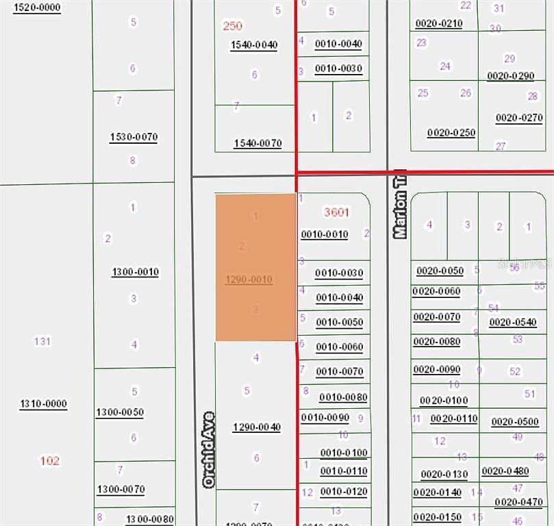 Xx Orchid Ave Interlachen, FL 32148 - Thumbnail 4