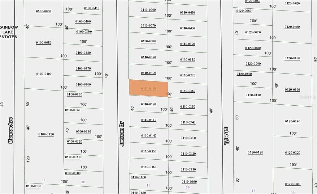 Xx Jackson Dr Lot 11 Hawthorne, FL 32640 - Thumbnail 4
